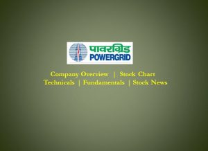 Power Grid - Company Overview, Stock Chart, Technicals, Fundamentals, Stock News & Updates